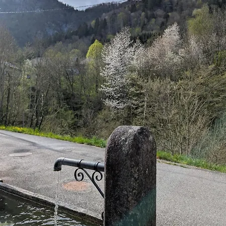 Le De Saury Apartman Lathuile