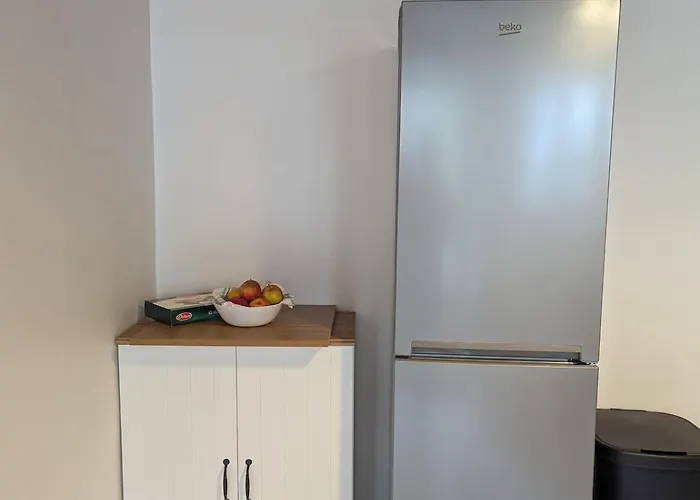 Le De Saury Lathuile